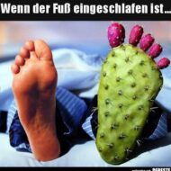 WapuMax